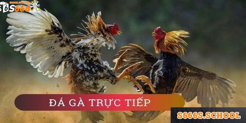 Trải nghiệm trực tuyến trên các địa chỉ cá cược online Trải nghiệm trực tuyến trên các địa chỉ cá cược online