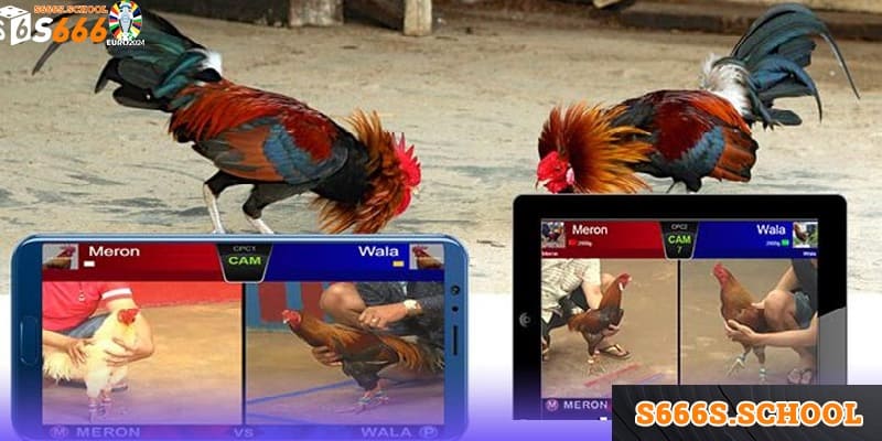 Hình thức cá cược này thu hút đông đảo các thành viên tại S666