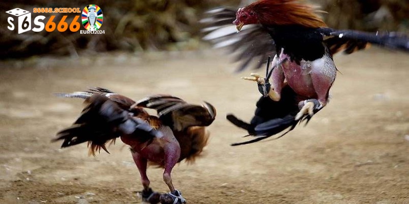 Kỹ năng hồi mã thương được đánh giá cao